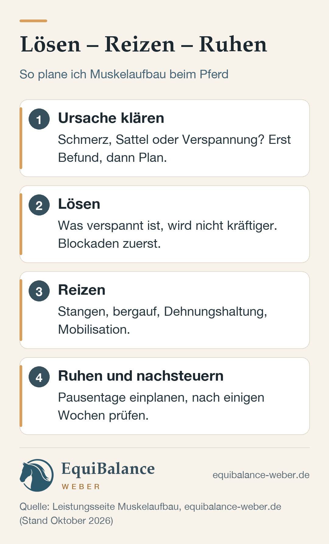 Lösen – Reizen – Ruhen: vier Schritte zum Muskelaufbau beim Pferd. 1. Ursache klären (Schmerz, Sattel, Verspannung). 2. Lösen, was blockiert. 3. Gezielte Reize: Stangen, bergauf, Dehnungshaltung, Mobilisation. 4. Ruhen und nachsteuern: Pausentage einplanen, alle paar Wochen überprüfen.