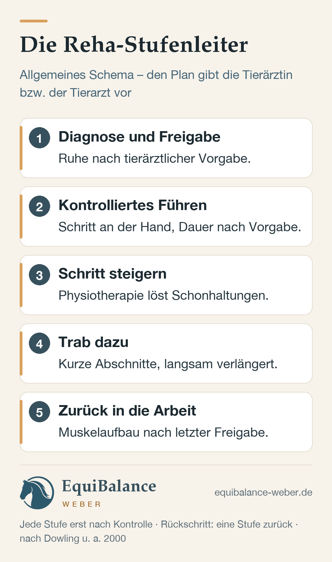 Reha-Stufenleiter beim Pferd in fünf Stufen: 1. Diagnose und Freigabe durch Tierärztin oder Tierarzt. 2. Kontrolliertes Schrittführen. 3. Schritt steigern, Physiotherapie gegen Schonhaltungen. 4. Trab in kurzen Abschnitten. 5. Zurück in die Arbeit. Jede Steigerung erst nach tierärztlicher Kontrolle; bei Rückschritt eine Stufe zurück.