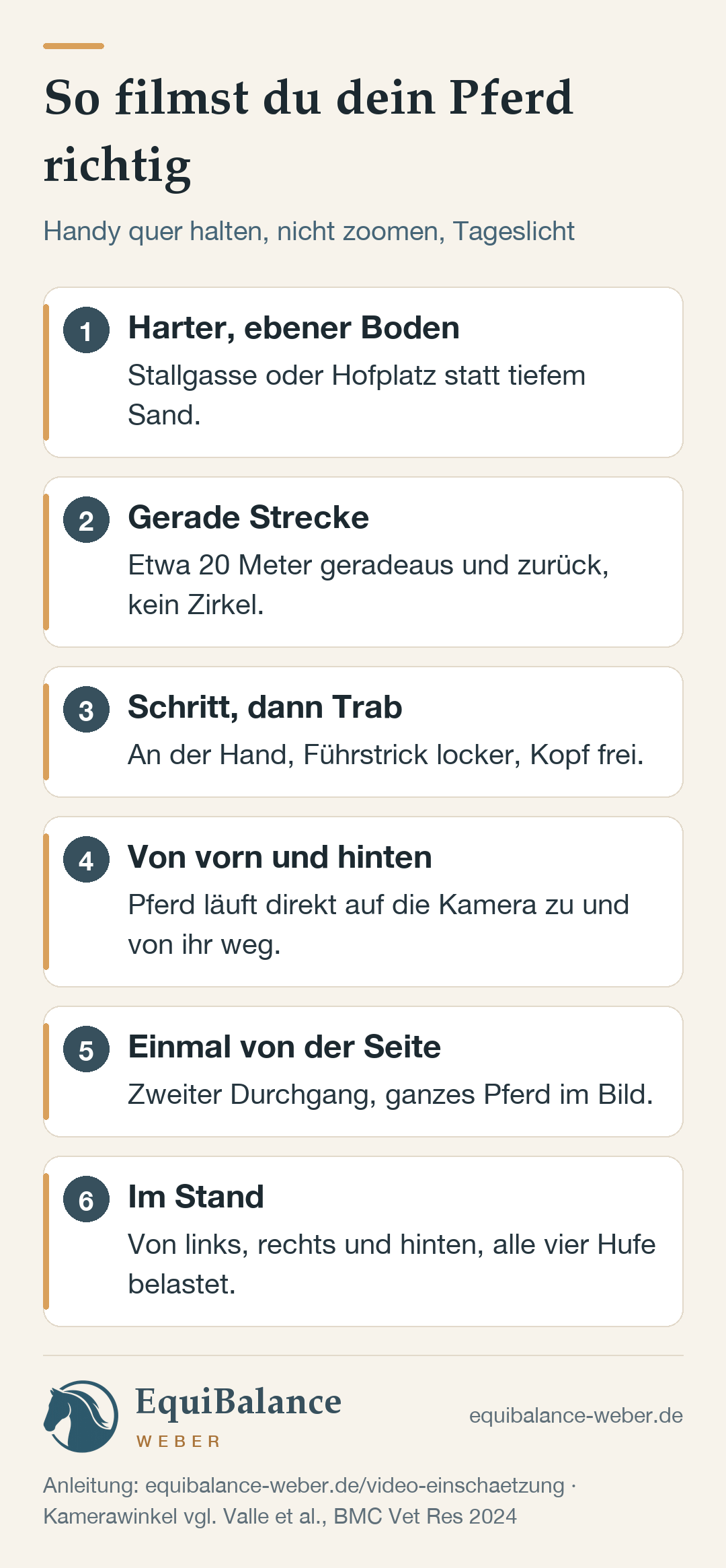 So filmst du dein Pferd in sechs Schritten: 1. harter, ebener Boden statt tiefem Sand. 2. gerade Strecke, etwa 20 Meter hin und zurück, kein Zirkel. 3. erst Schritt, dann Trab an der Hand mit lockerem Führstrick. 4. Pferd läuft direkt auf die Kamera zu und von ihr weg. 5. ein Durchgang von der Seite, ganzes Pferd im Bild. 6. im Stand von links, rechts und hinten. Dazu: Handy quer halten, nicht zoomen, Tageslicht.